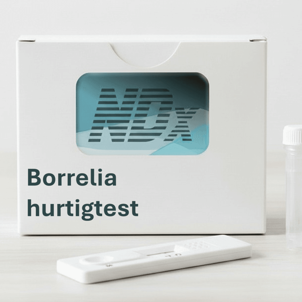 Borrelia in tick, rapid test